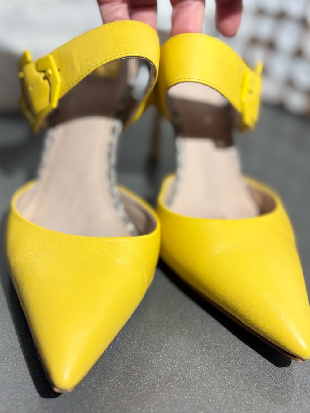 Louise et Cie Talila Statement Buckle Slingback Pumps - Yellow/Python 8M
